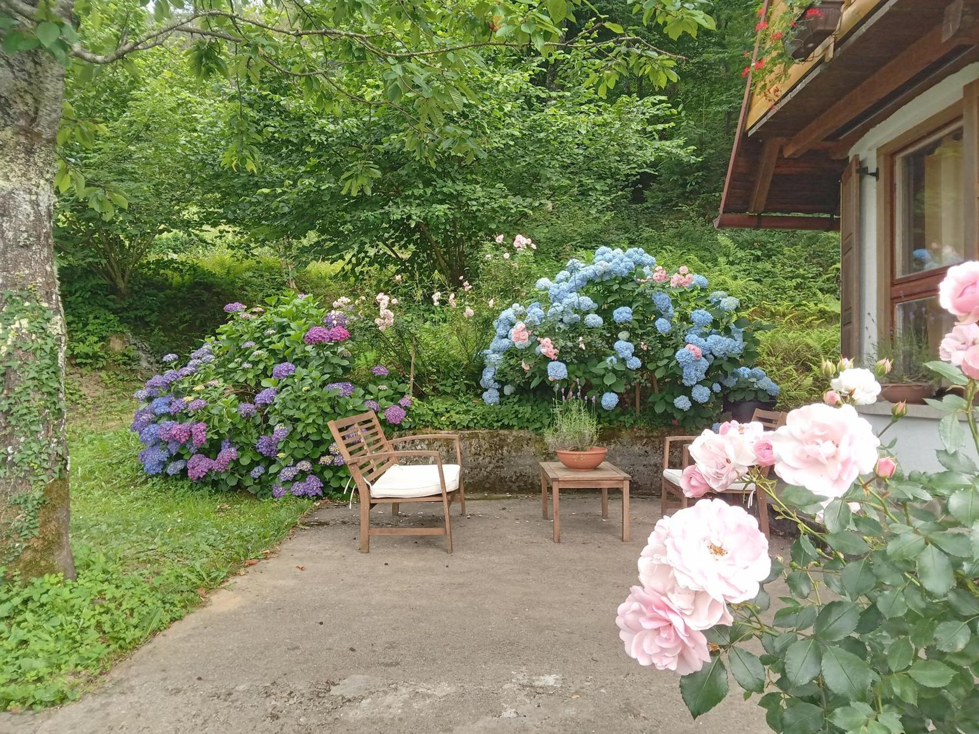 Holiday Home Vesna Brod na Kupi Luaran gambar