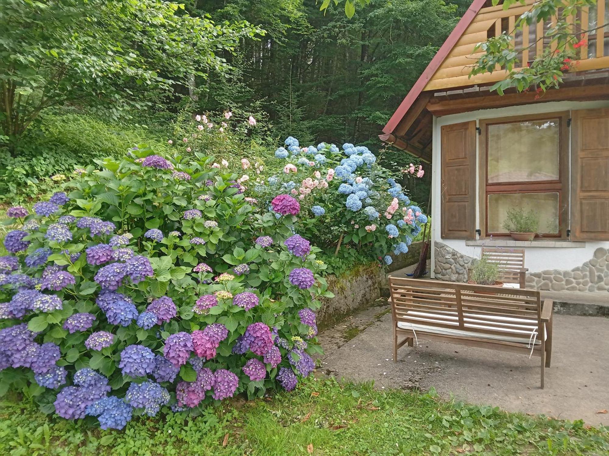 Holiday Home Vesna Brod na Kupi Luaran gambar