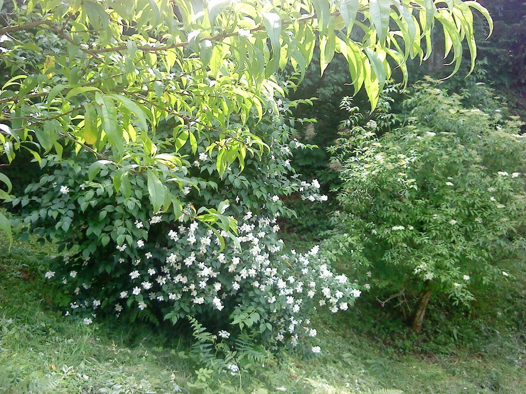 Holiday Home Vesna Brod na Kupi Bilik gambar