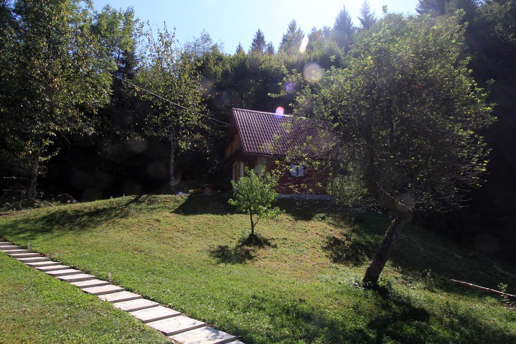 Holiday Home Vesna Brod na Kupi Bilik gambar